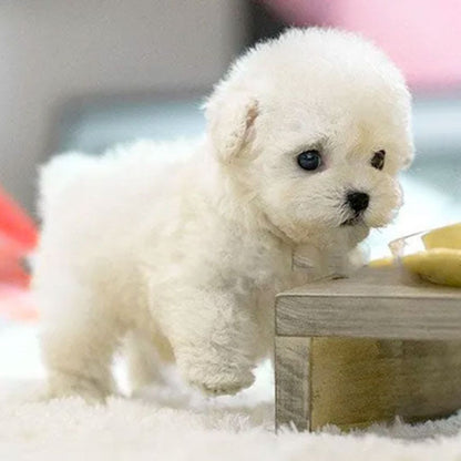 Real Puppy - Realistischer Roboter Welpe, weiß
