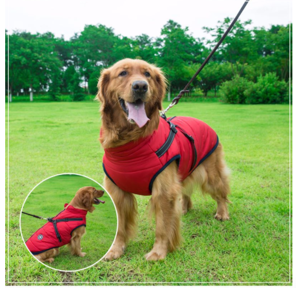 Allwetter Hundejacke