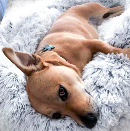 Kuscheliges Hundebett "Wolke 7" - das Original