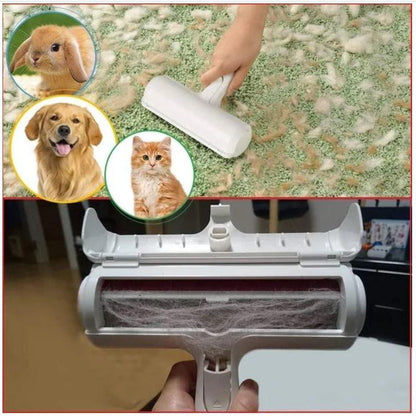 tierhaarbürste